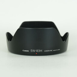 Canon EF24-105mm F4L IS USM