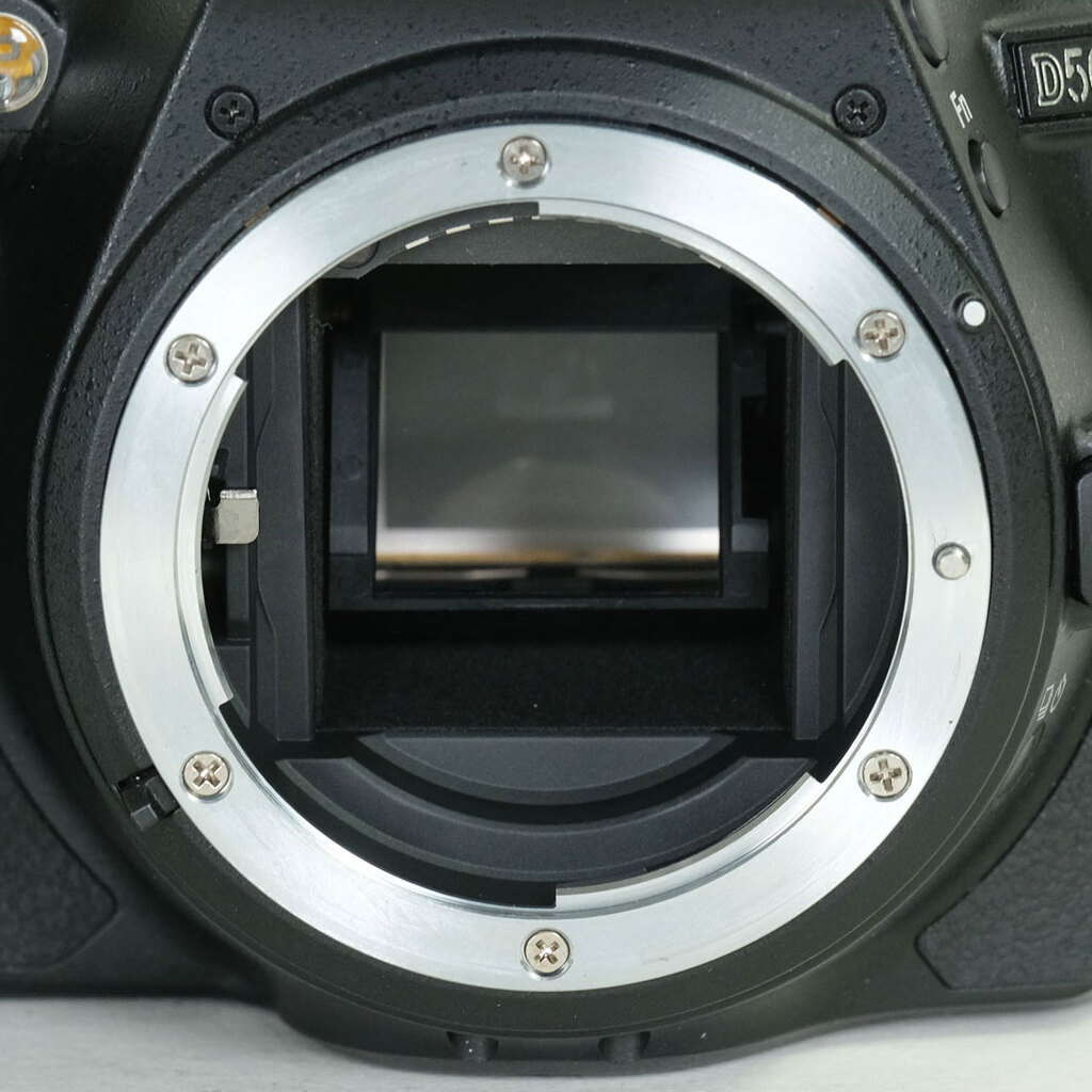 Nikon D5600