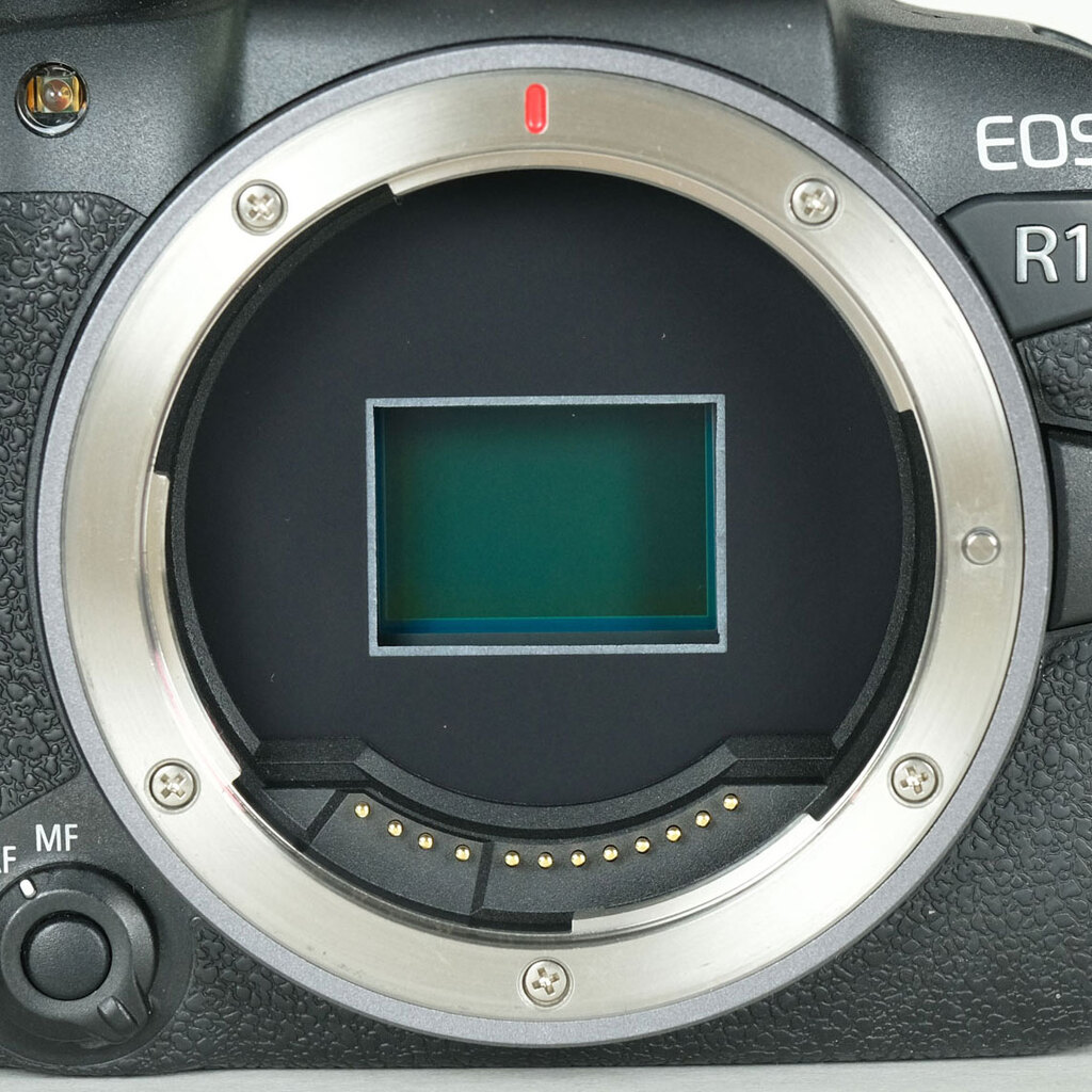 Canon EOS R10