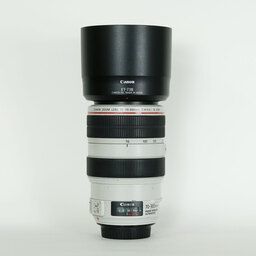 Canon EF70-300mm F4-5.6L IS USM