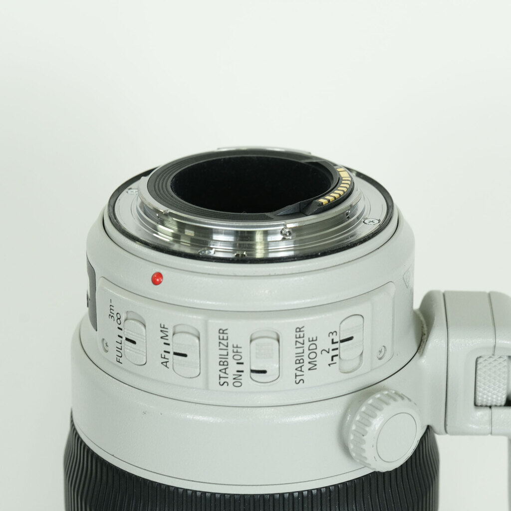 Canon EF100-400mm F4.5-5.6L IS II USM