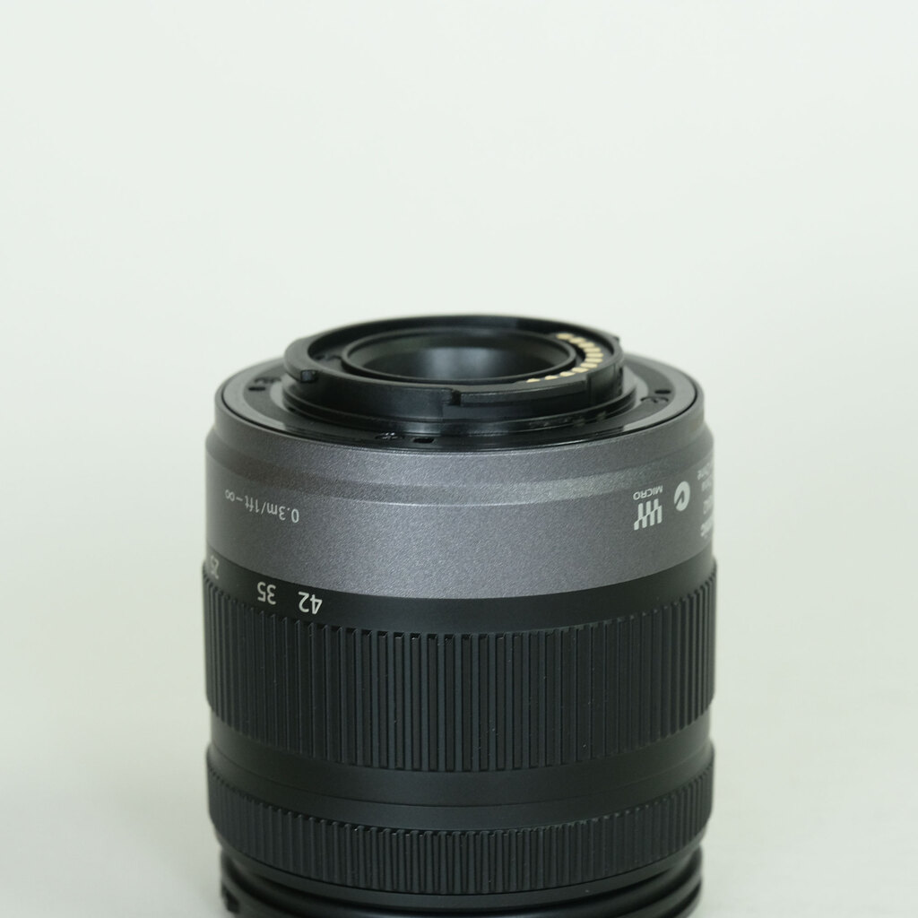 Panasonic LUMIX G 14-42mm F3.5-5.6 ASPH. MEGA O.I.S. H-FS014042