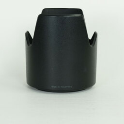 TAMRON SP 70-300mm F4-5.6 Di VC USD/Model A005NII(ニコン用)