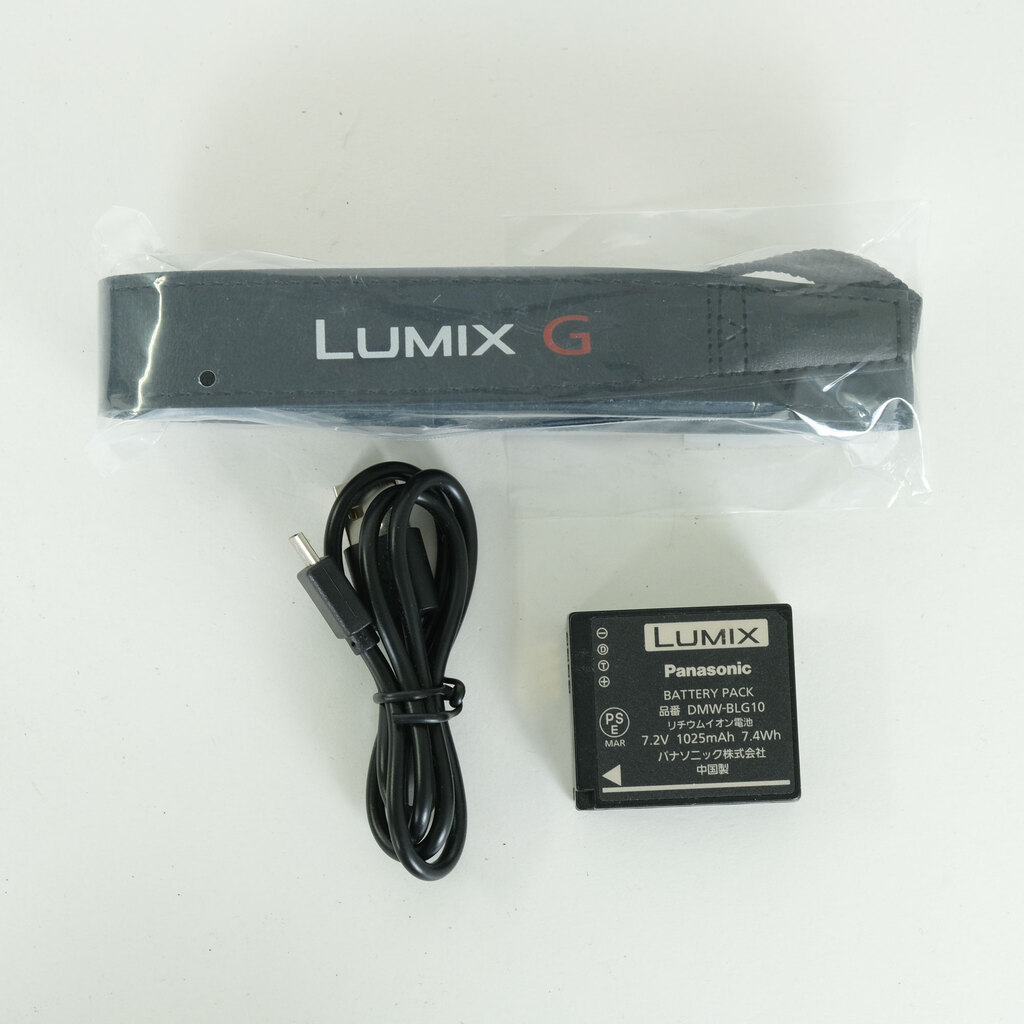 Panasonic LUMIX DC-G100 Panasonic LUMIX DC-G100