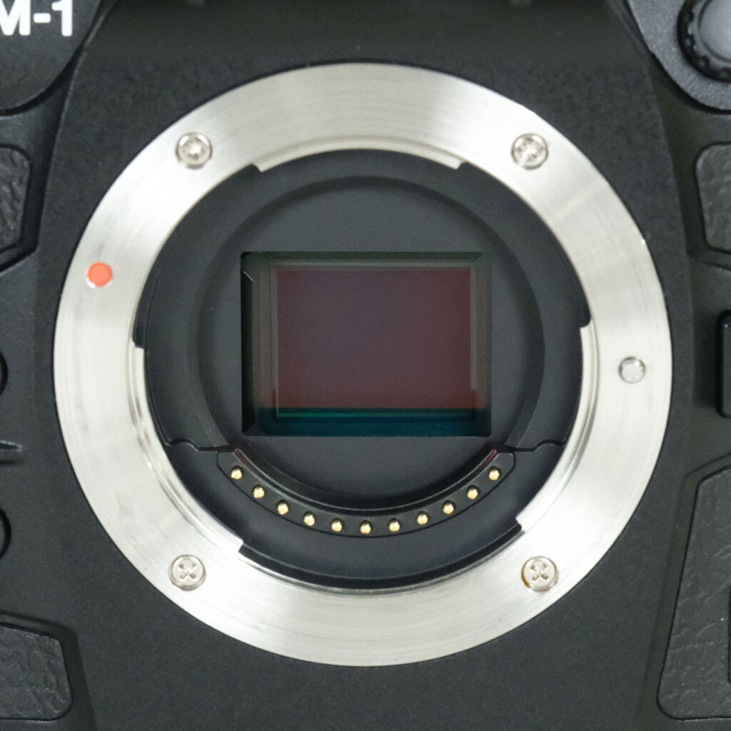 OM SYSTEM OM-1 Mark II