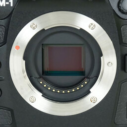 OM SYSTEM OM-1 Mark II