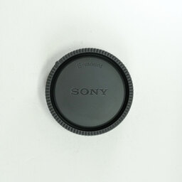 SONY FE 24-105mm F4 G OSS SEL24105G