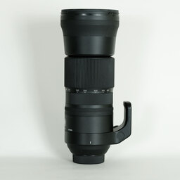 SIGMA 150-600mm F5-6.3 DG OS HSM｜Contemporary [ニコンF用]