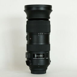 SIGMA 60-600mm F4.5-6.3 DG OS HSM | Sports [キヤノン用]
