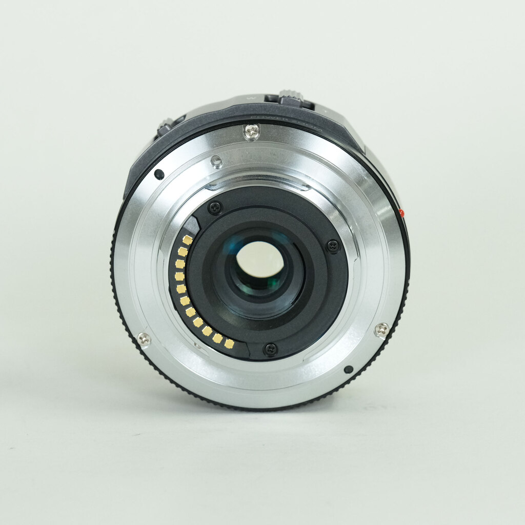 Panasonic LUMIX G X VARIO PZ 14-42mm / F3.5-5.6 ASPH. / POWER O.I.S.