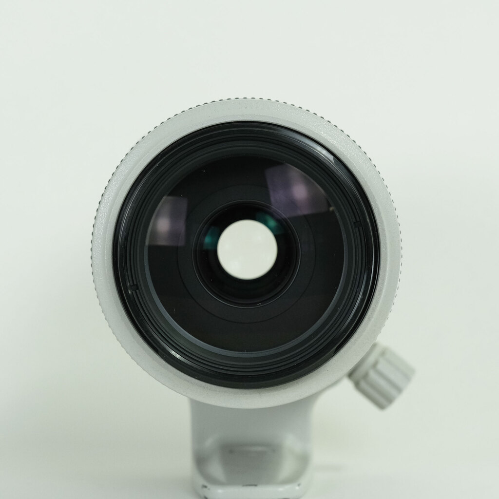 Canon EF70-300mm F4-5.6L IS USM