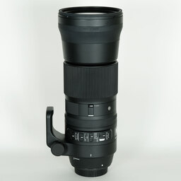 SIGMA 150-600mm F5-6.3 DG OS HSM | Contemporary [キヤノンEF用]