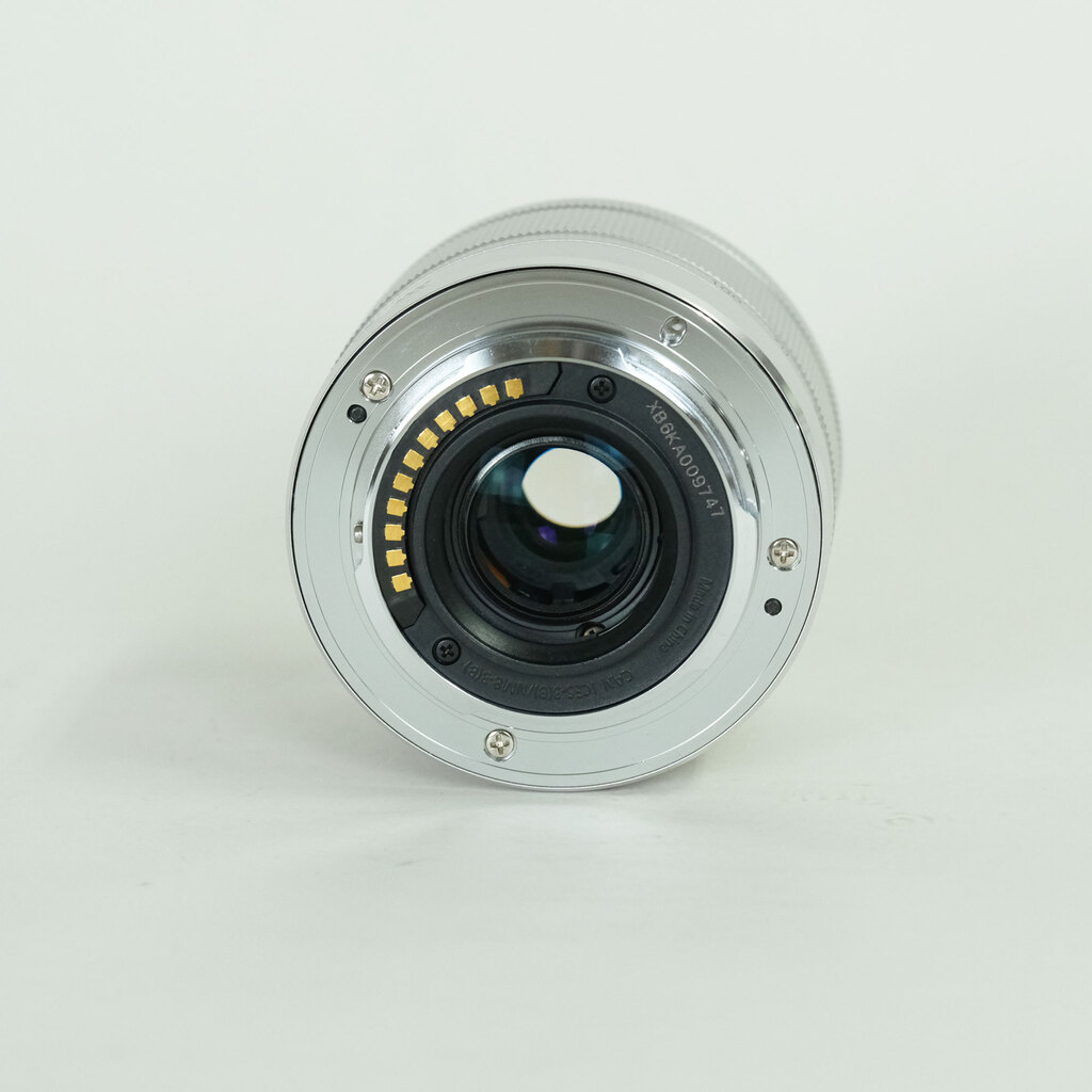 Panasonic LUMIX G VARIO 35-100mm / F4.0-5.6 ASPH. / MEGA O.I.S.