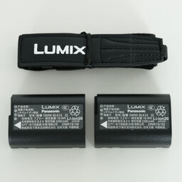 Panasonic LUMIX DC-S9