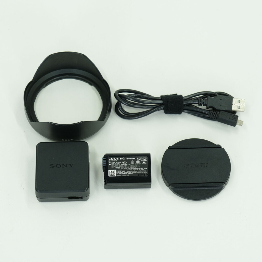 SONY Cyber-shot DSC-RX10
