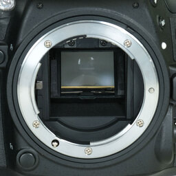 Nikon D7100