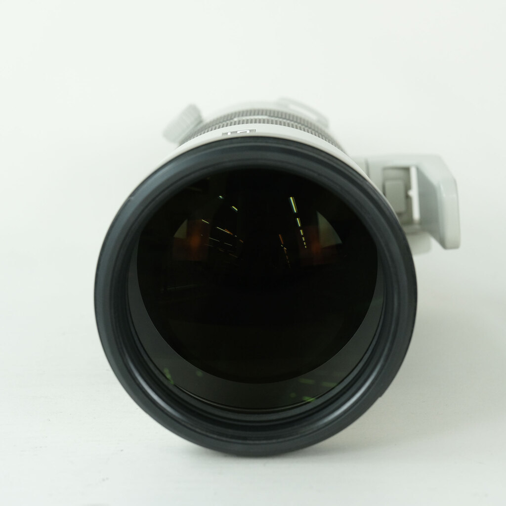 SONY FE 200-600mm F5.6-6.3 G OSS SEL200600Gの出品 | ONE SCENE