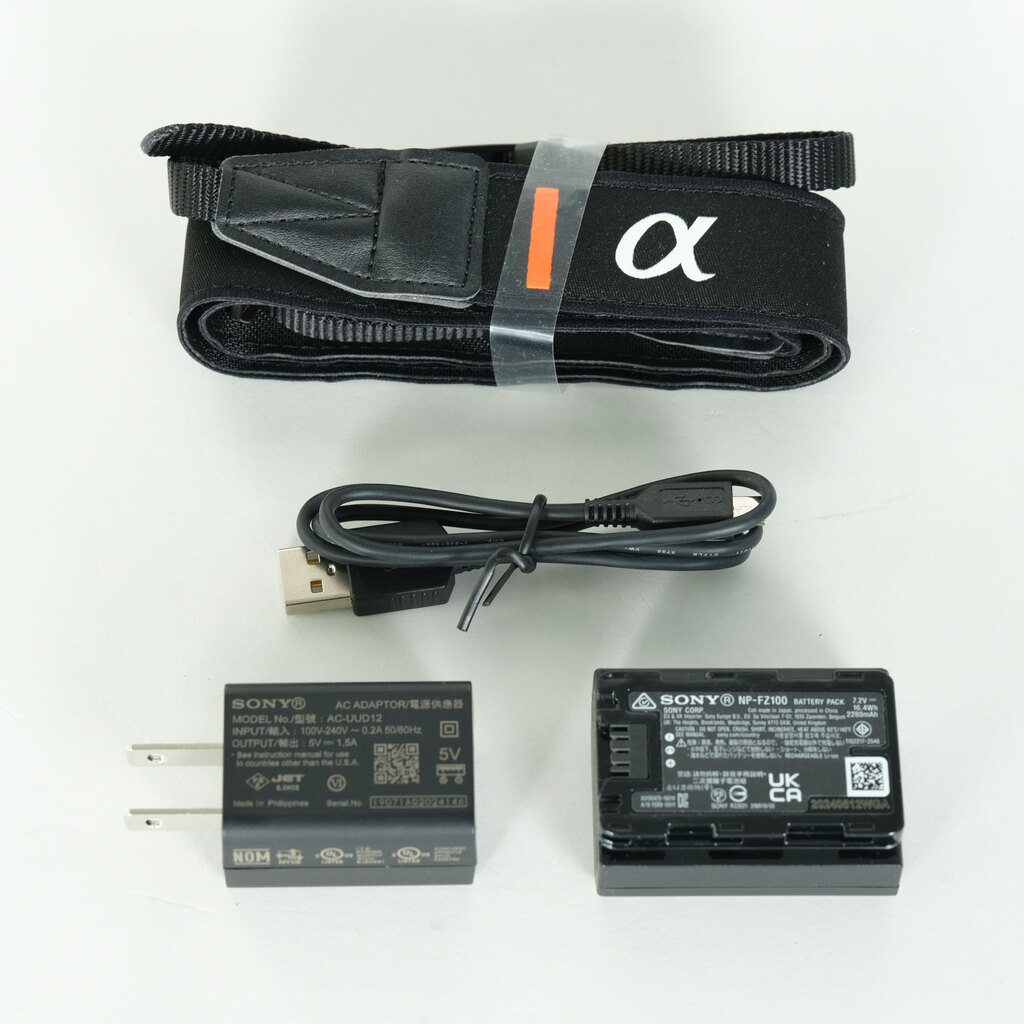 SONY α6600 ILCE-6600 美品 おまけでスペアバッテリー！ SONY α6600（ILCE-6600）の出品 | ONE SCENE（ワンシーン）