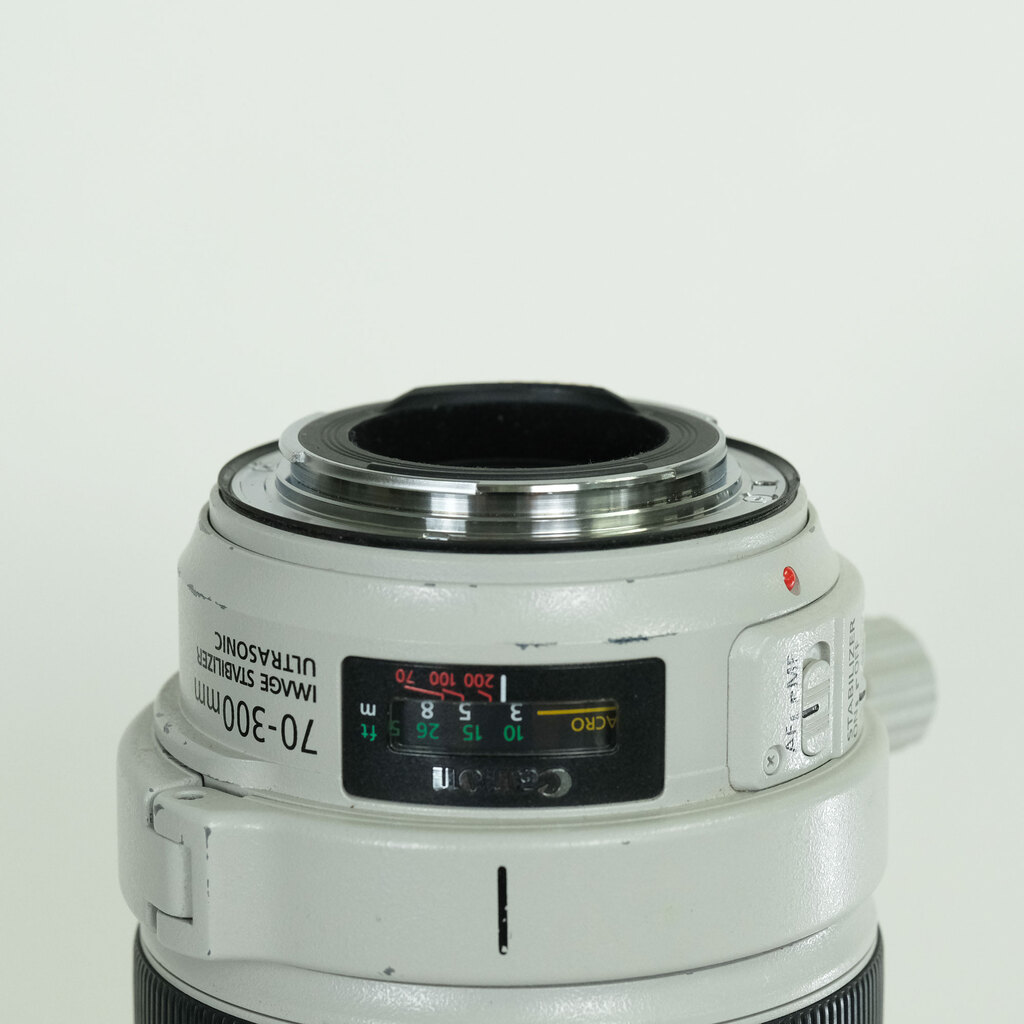 Canon EF70-300mm F4-5.6L IS USM