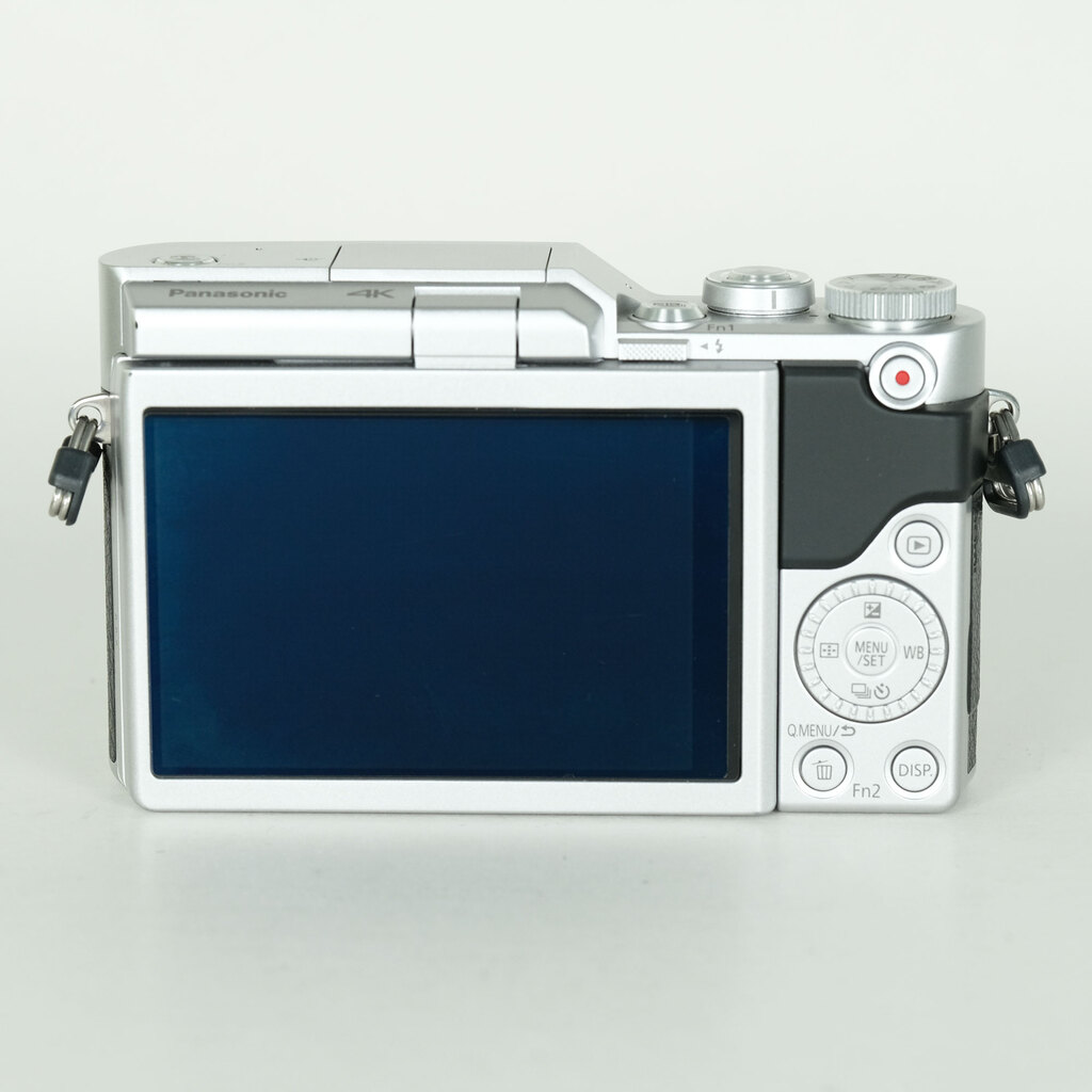 Panasonic LUMIX DC-GF9 �{�f�B �V���o�[