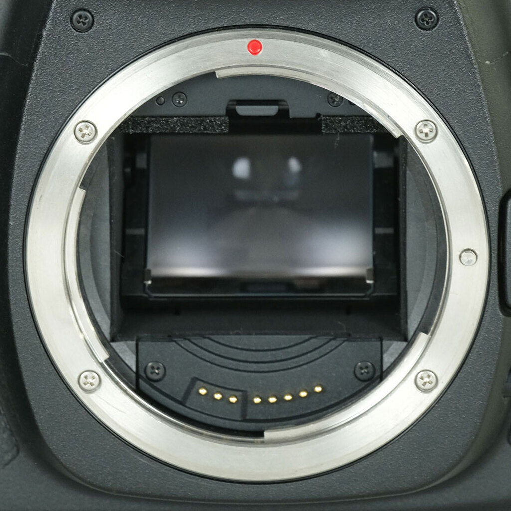 Canon EOS 5D MarkII ボディ