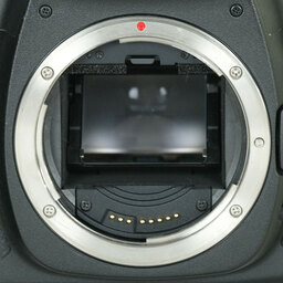 Canon EOS 5D MarkII ボディ