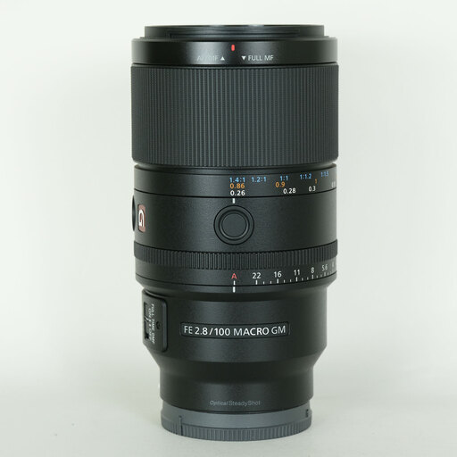 SONY FE 100mm F2.8 Macro GM OSS SEL100M28GM