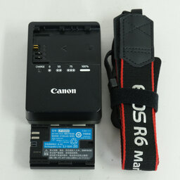 Canon EOS R6 Mark II Canon EOS R6 Mark II