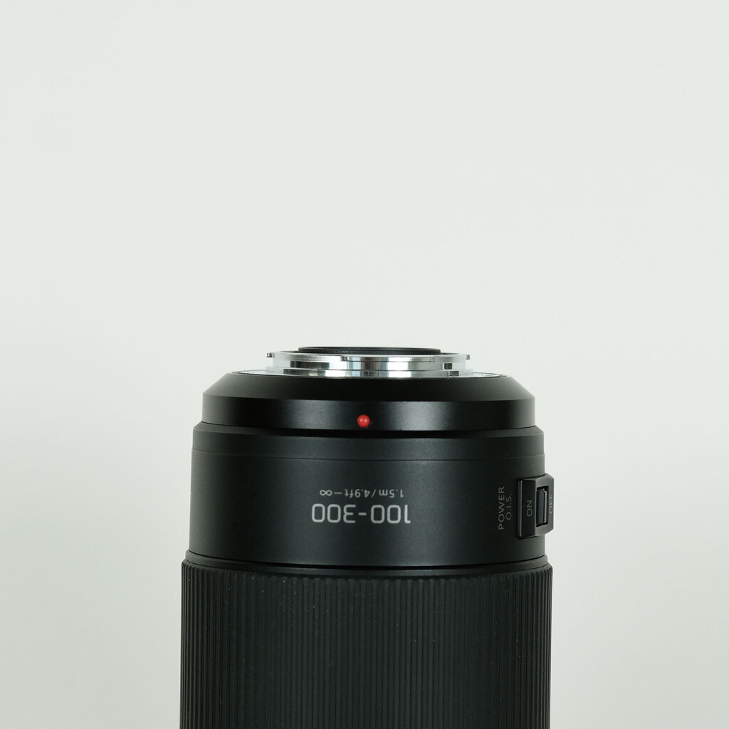 Panasonic LUMIX G VARIO 100-300mm / F4.0-5.6 II / POWER O.I.S.