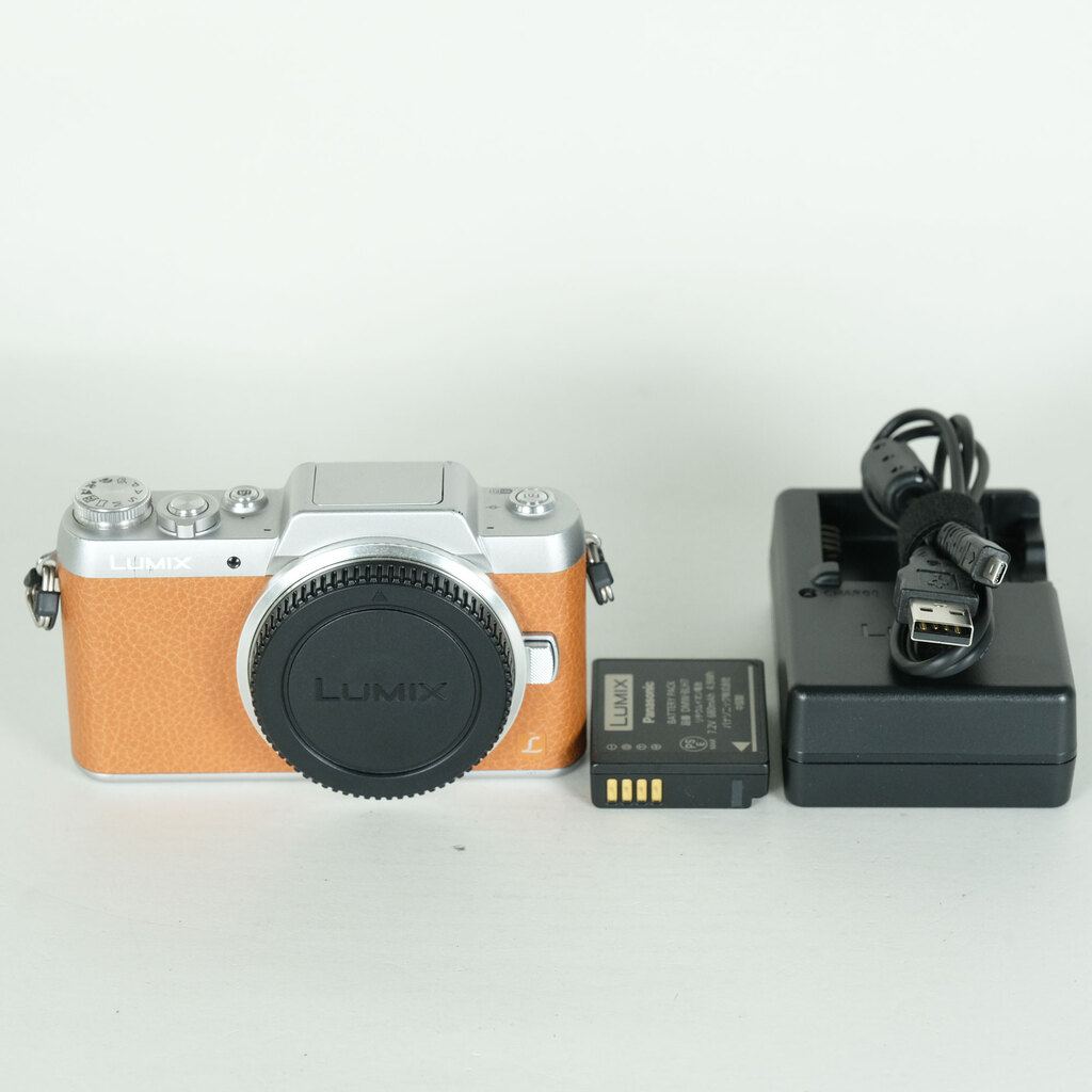 Panasonic LUMIX DMC-GF7 �{�f�B �u���E��
