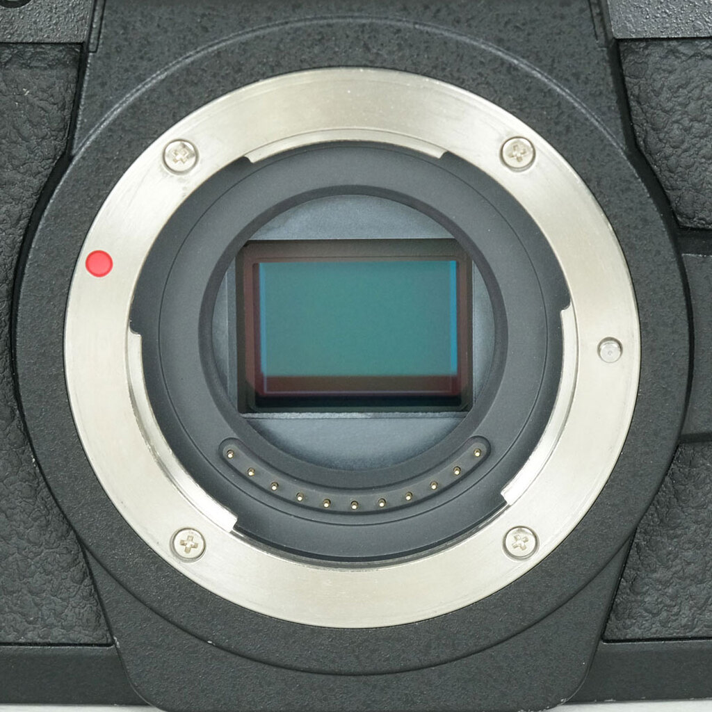 Panasonic LUMIX DC-G99 Panasonic LUMIX DC-G99