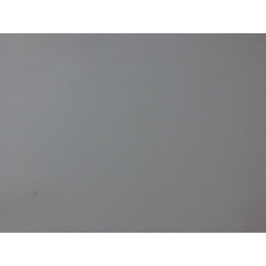 LEICA C(Typ112) ダークレッド