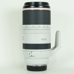 Canon RF100-500mm F4.5-7.1L IS USM