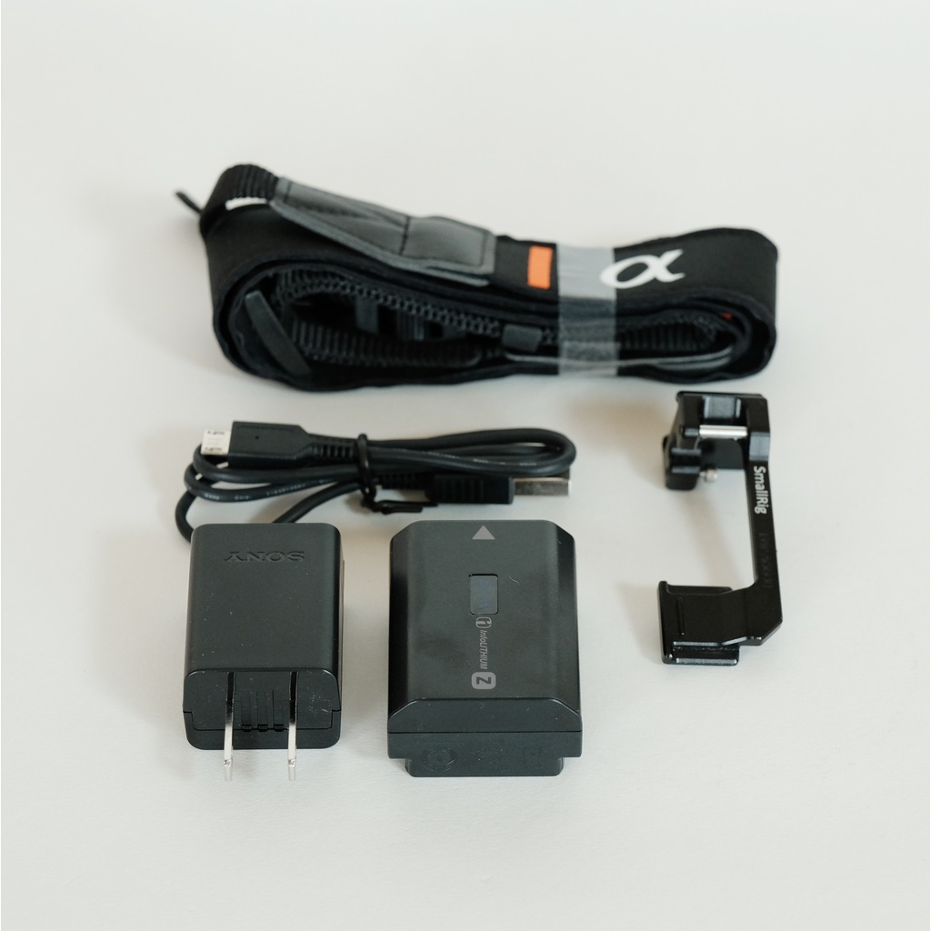 SONY α6600（ILCE-6600）の出品 | ONE SCENE（ワンシーン）