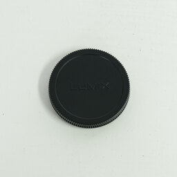 Panasonic LUMIX S 24-105mm F4 MACRO O.I.S.