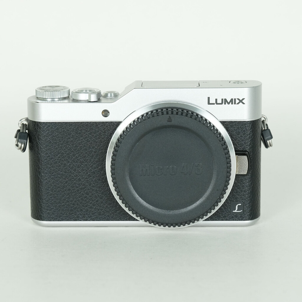 Panasonic LUMIX DC-GF9 �{�f�B �V���o�[