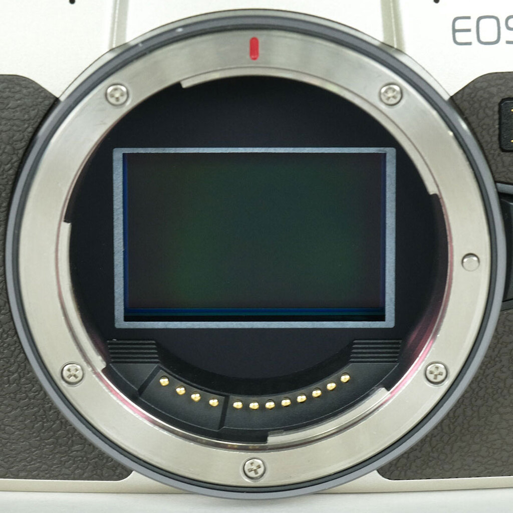 Canon EOS RP ボディ ゴールドの出品 | ONE SCENE（ワンシーン）