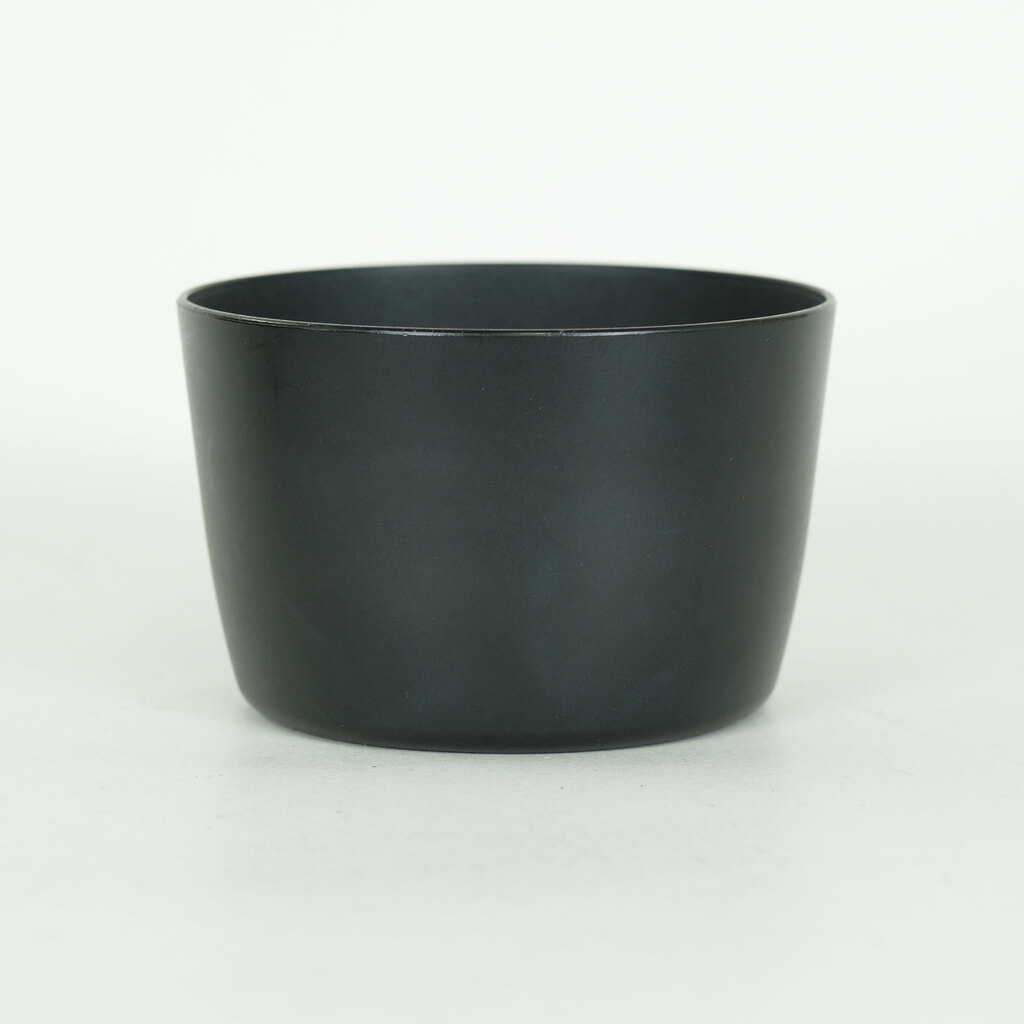 Canon EF-S55-250mm F4-5.6 IS