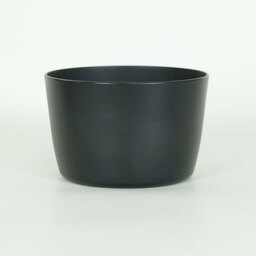 Canon EF-S55-250mm F4-5.6 IS