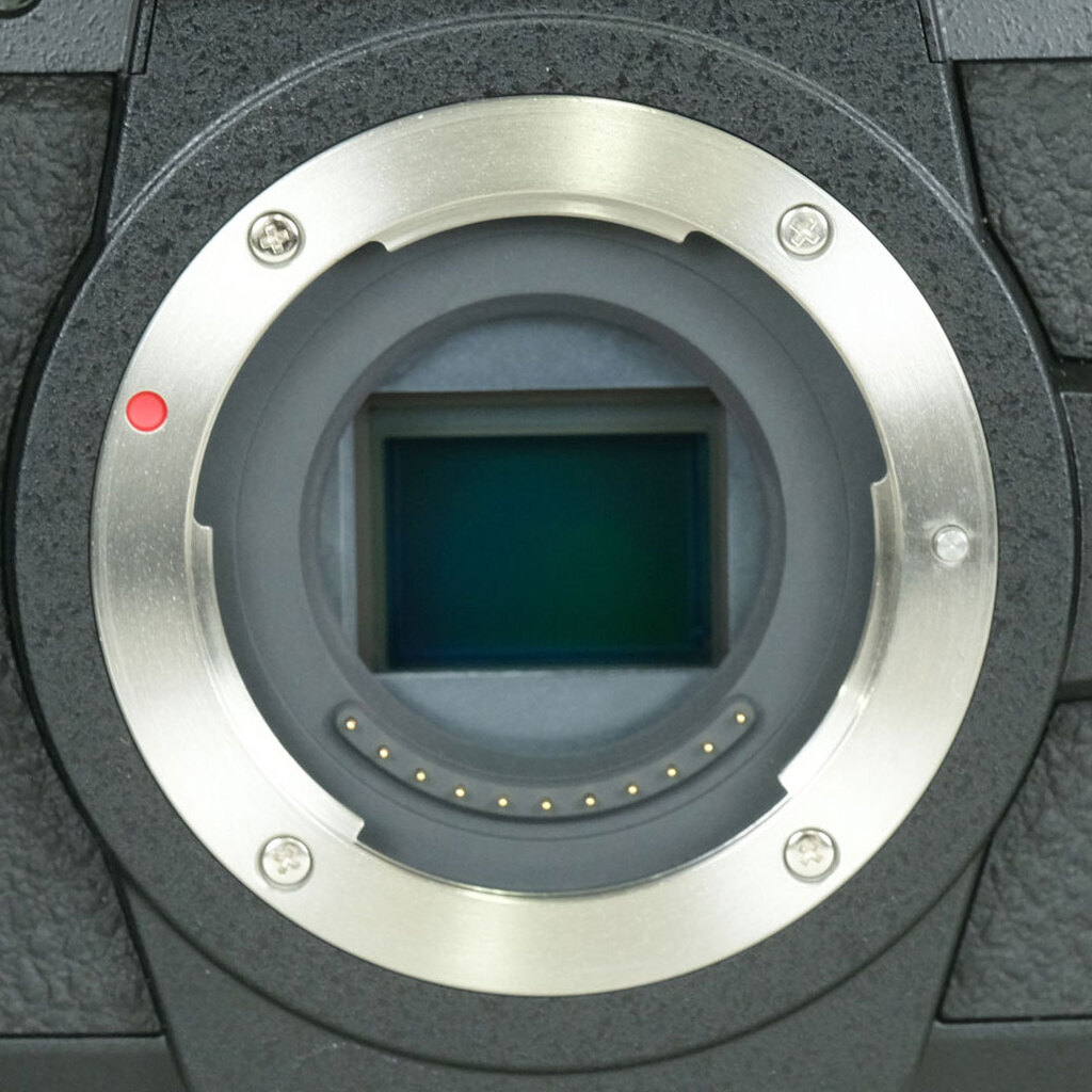 Panasonic LUMIX G99M2（G99 II）