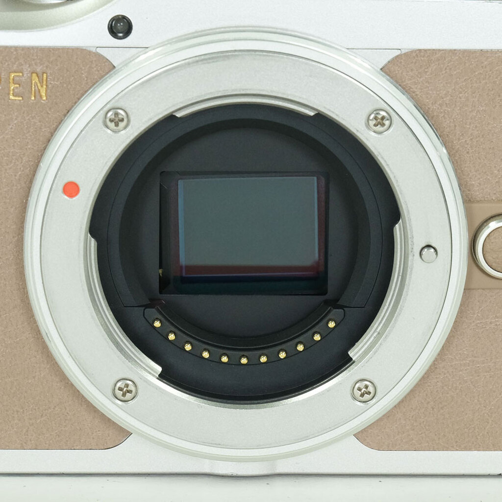 OLYMPUS PEN E-PL10