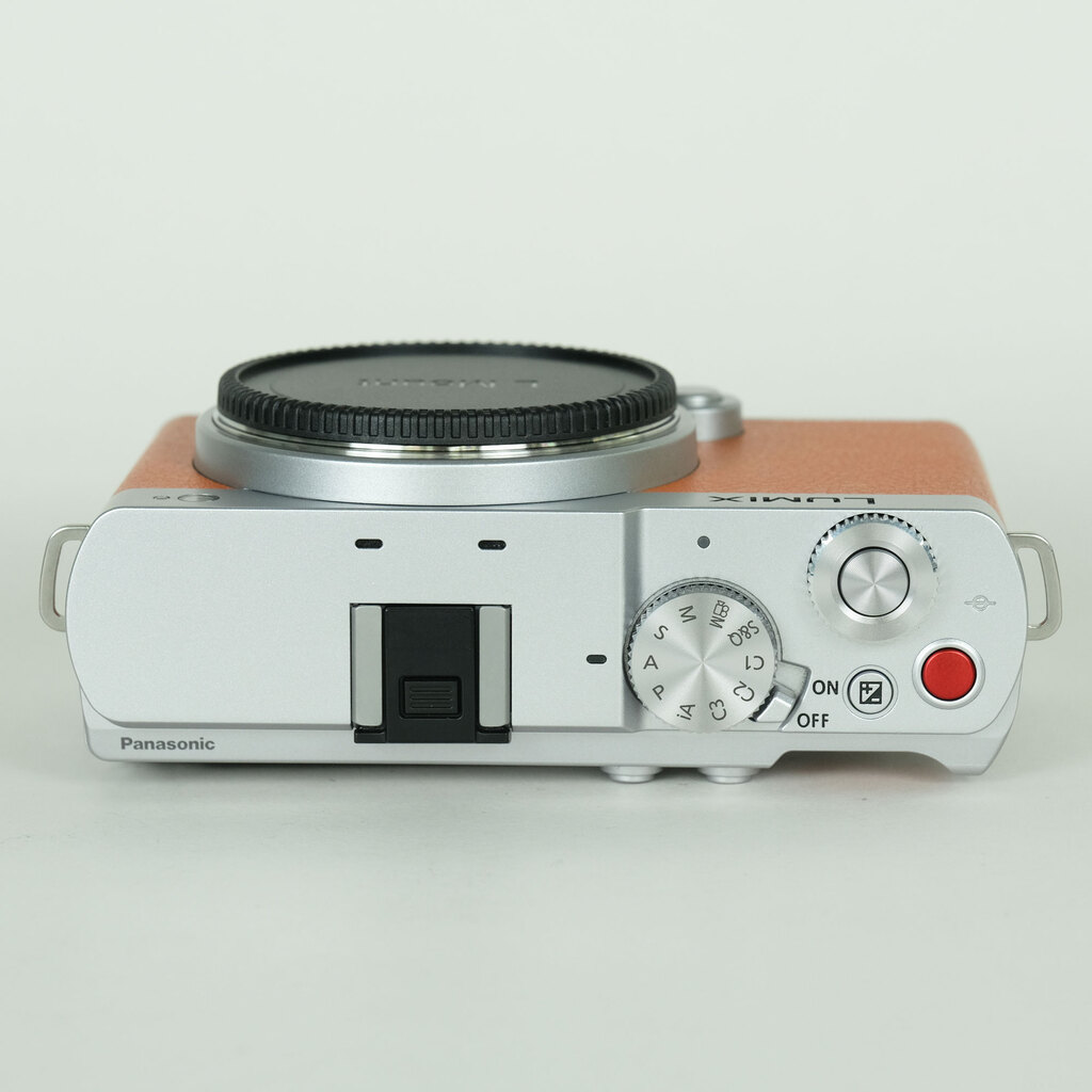Panasonic LUMIX DC-S9