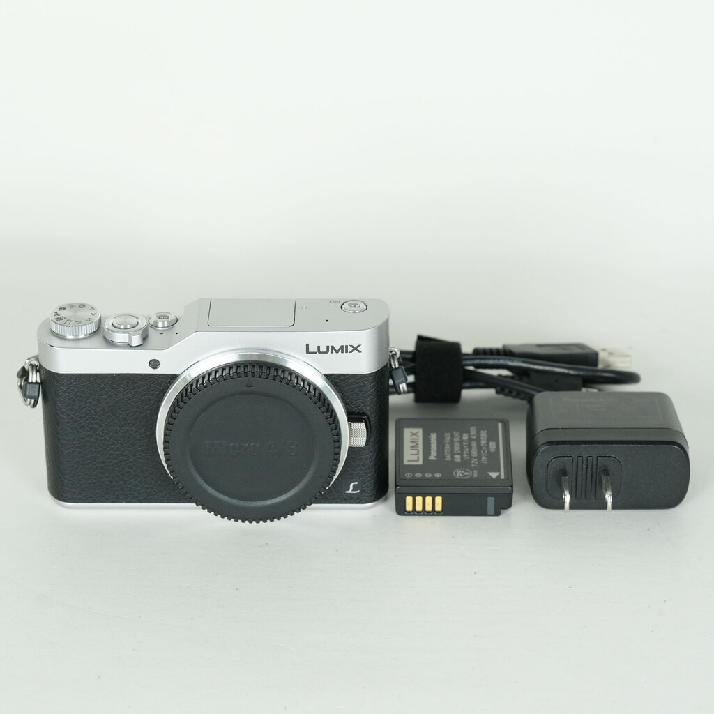 Panasonic LUMIX DC-GF9 �{�f�B �V���o�[