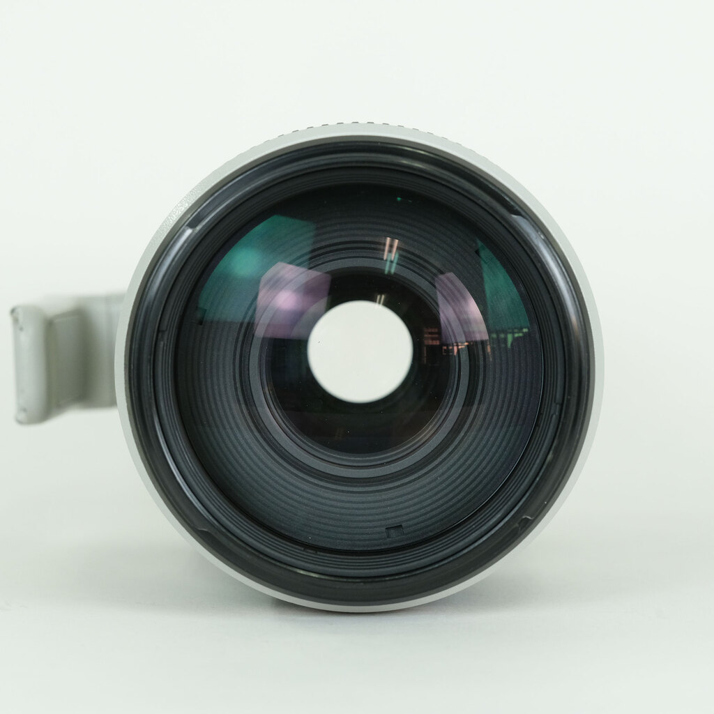 Canon EF100-400mm F4.5-5.6L IS II USM