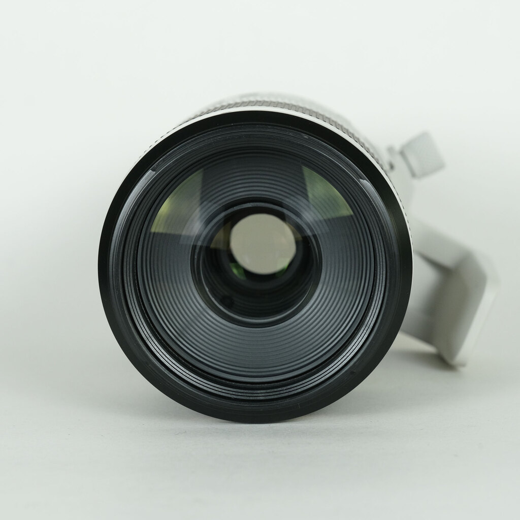 Canon RF100-500mm F4.5-7.1L IS USM