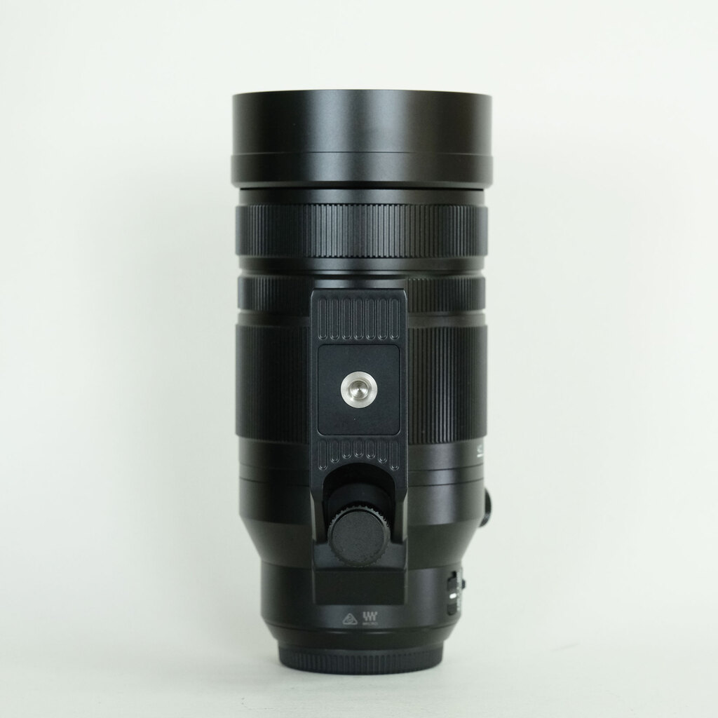 Panasonic LEICA DG VARIO-ELMAR 100-400mm / F4.0-6.3 II ASPH. / POWER O.I.S.