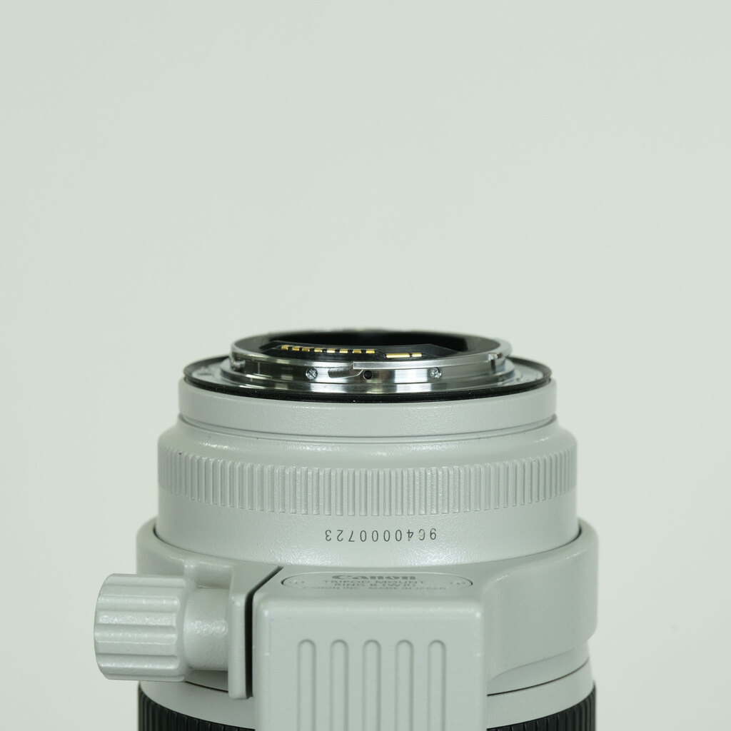 Canon EF70-200mm F2.8L IS III USM