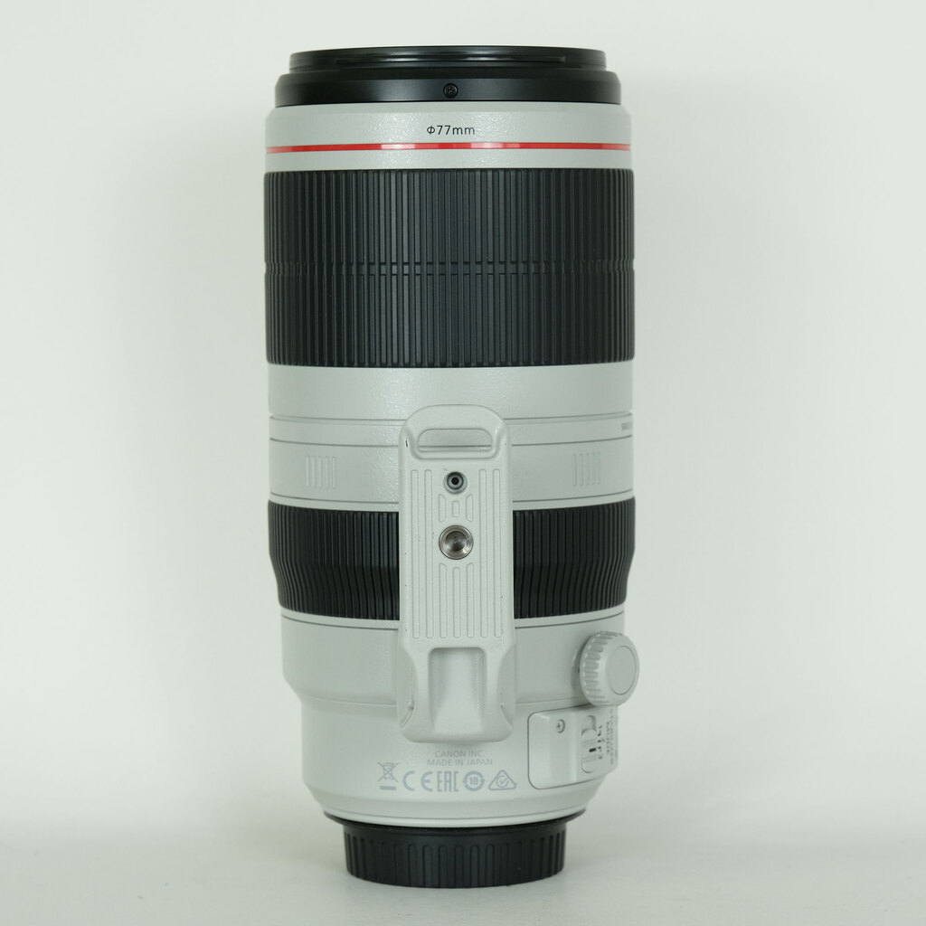 Canon EF100-400mm F4.5-5.6L IS II USM