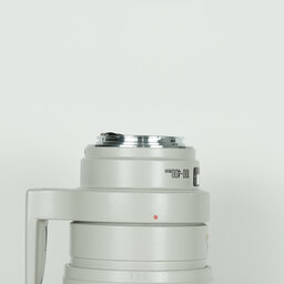 Canon EF100-400mm F4.5-5.6L IS USM