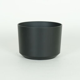 SONY E 55-210mm F4.5-6.3 OSS SEL55210